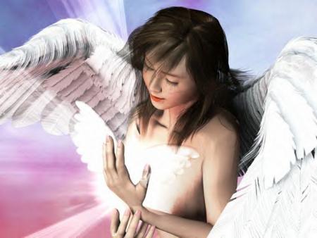 Bonne soir�e ..et bonne jeudi...